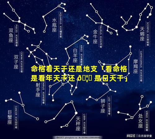 命格看天干还是地支「看命格是看年天干还 🦋 是日天干」